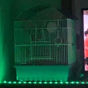 Meet your Posher, Dominique